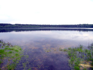Место силы - Озеро Золотая Вешка
